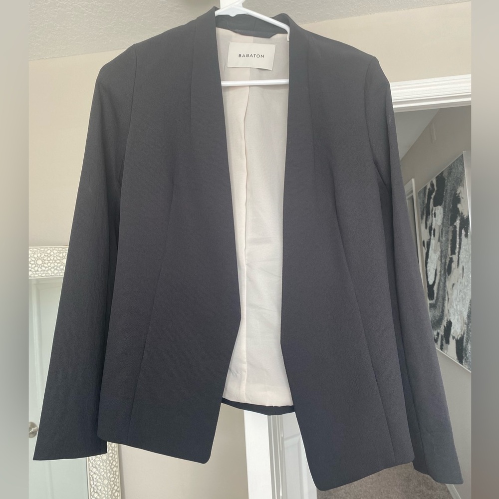 Aritzia Babaton Keith Jacket/ Blazer